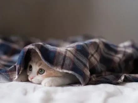 kvartiri-kiyan-v-yakikh-temperatura-nizhche-18-gradusiv-obstezhuvatimut-spetskomisiyi