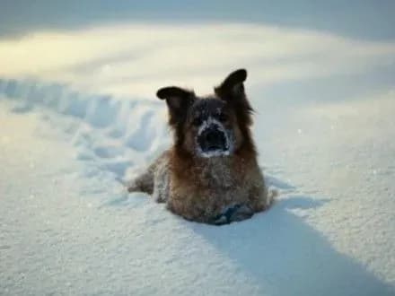 silni-snigopadi-ochikuyutsya-nayblizhchimi-dnyami-na-kiyivschini