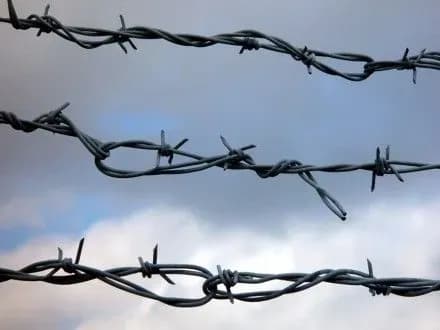 zaboronena-partiya-ruskiy-blok-podala-kasatsiyu-do-vasu