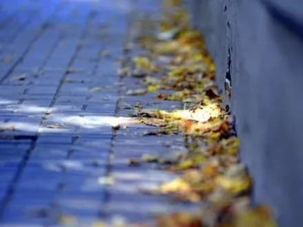 v-stolitsi-v-subotu-bez-opadiv