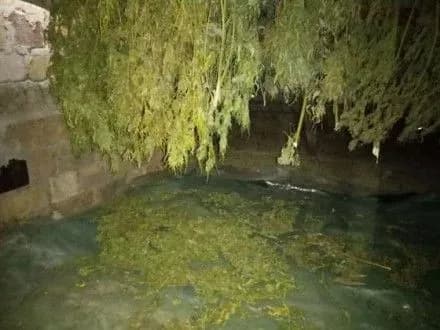 politseyski-na-donechchini-viluchili-narkotikiv-bilsh-nizh-na-chvert-milyona-griven