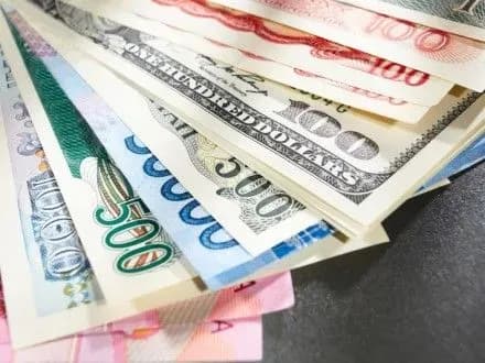 ofitsiyniy-kurs-grivni-vstanovleno-na-rivni-25-75-grn-dol