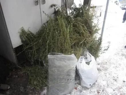 pravookhorntsi-viluchili-narkotikiv-na-300-tis-grn-na-kiyivschini