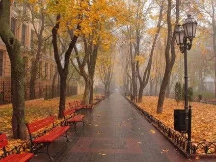 gidromettsentr-v-stolitsi-opadiv-ne-peredbachayetsya