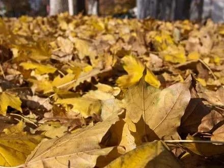 gidromettsentr-pogoda-v-ukrayini-khmarna-z-proyasnennyami-2