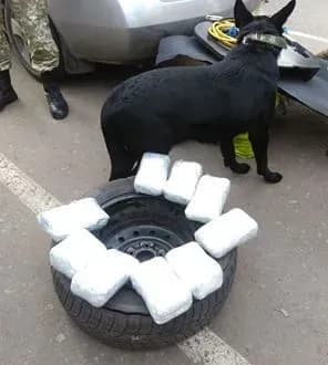 v-kpvv-mayorske-prikordonniki-viyavili-narkotichnu-rechovinu