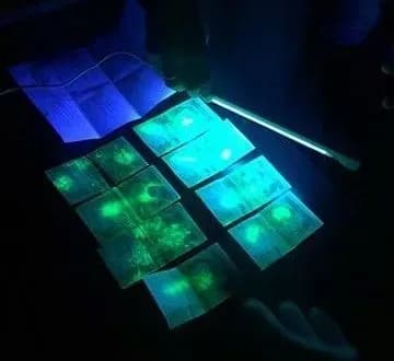 v-odesi-na-oderzhanni-khabara-vikrili-derzhavnogo-inspektora-odeskoyi-mitnitsi