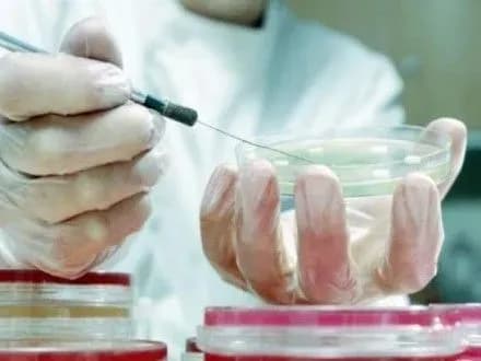 pershiy-letalniy-vipadok-vid-gripu-zareyestruvali-na-sumschini