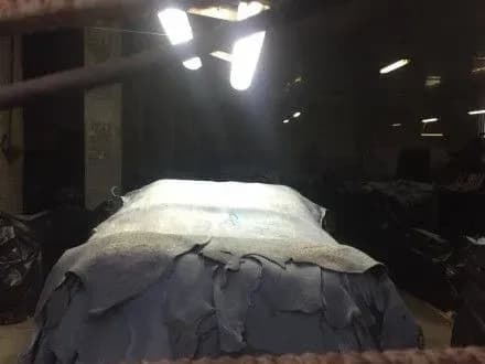 na-ivano-frankivschini-nezakonno-prodavali-shkirsirovinu-v-italiyu