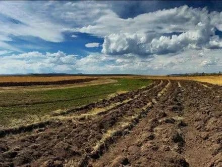 zaporizki-zemlekoristuvachi-splatili-781-mln-grn