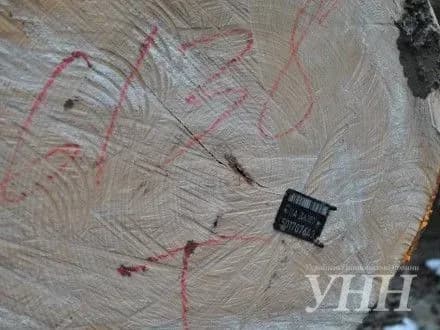 obsyag-realizatsiyi-lisoproduktsiyi-na-zakarpatti-zbilshivsya-na-25