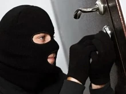 zhitel-korsunskogo-rayonu-skoyiv-ponad-20-kradizhok