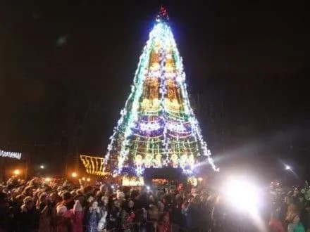 blizko-milyona-griven-vitratili-tsogo-roku-na-golovnu-yalinku-vinnitsi