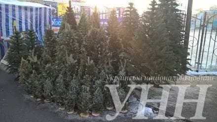 u-vinnitsi-organizovano-visim-yalinkovikh-bazariv