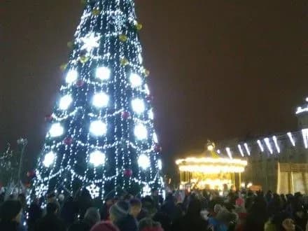 golovnu-yalinku-zasvitili-v-chernigovi