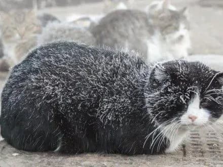 sogodni-v-ukrayini-ochikuyetsya-pokholodannya-4