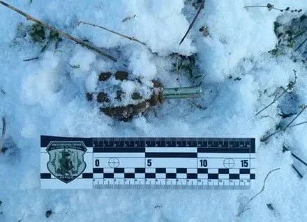 pravookhorontsi-zneshkodili-granatu-bilya-budinku-v-mikolayevi