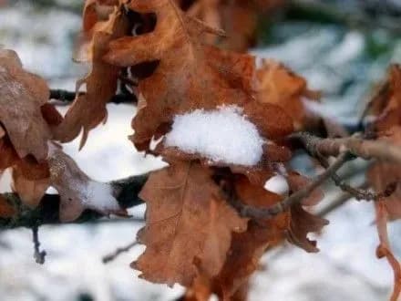 sogodni-v-ukrayini-khmarno-z-proyasnennyami-2