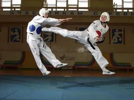 u-poltavi-vidbuvsya-festival-z-tkhekvondo