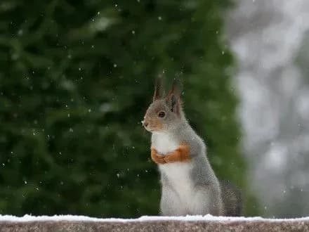 sogodni-ukrayinu-chekaye-khmarna-z-proyasnennyami-pogoda