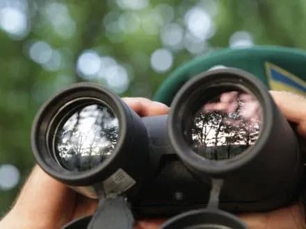 uryad-zatverdiv-plan-zakhodiv-z-oblashtuvannya-kordonu-z-rosiyeyu-i-moldovoyu