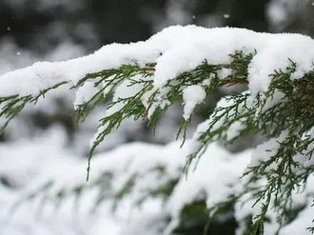 sogodni-ukrayinu-zasnizhit-1