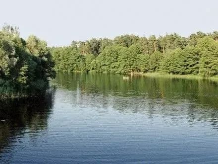 u-richtsi-na-rivnenschini-znayshli-mertvogo-selyanina