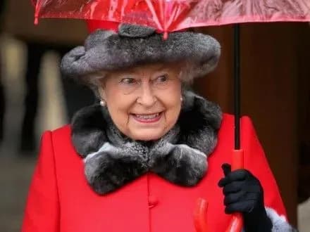 u-bukingemskomu-palatsi-okhoronets-priynyav-korolevu-yelizavetu-ii-za-zlodiya