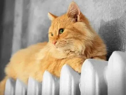 kiyan-zapevnili-scho-pokholodannya-ne-vpline-na-temperaturu-v-kvartirakh