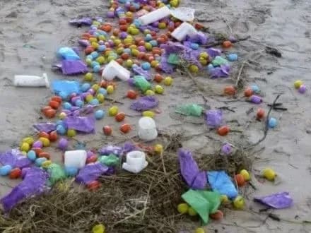 na-bereg-ostrova-u-nimechchini-vikinulo-tisyachi-kinder-syurpriziv