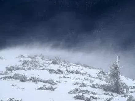 na-rizdvo-mozhlivi-khurtovini-podekudi-shtormoviy-viter