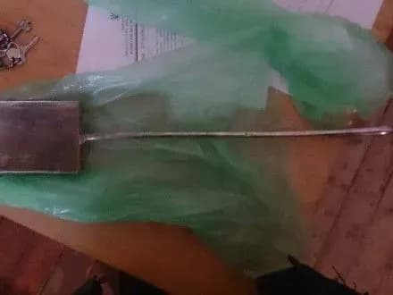 zhitelka-mikolayivschini-lopatoyu-vikhovuvala-donku-ta-10-misyachnogo-onuka