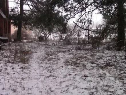 politsiya-zatrimala-zhinku-za-vbivstvo-zhitelki-poltavschini