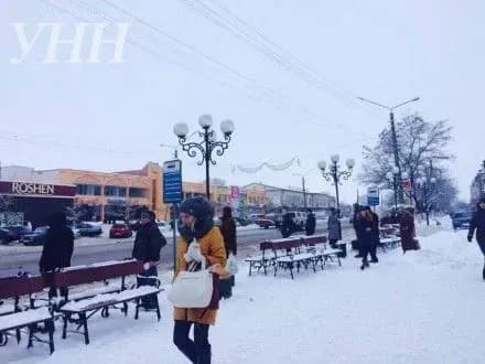 vodiyi-marshrutok-u-borispoli-vlashtuvali-strayk