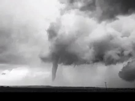 amerikanets-znyav-korotkometrazhniy-film-pro-krasu-grozi