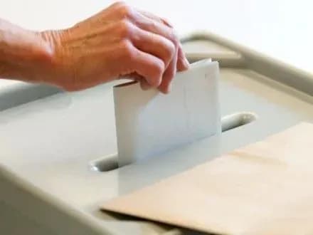 datu-viboriv-do-bundestagu-viznachili-u-nimechchini