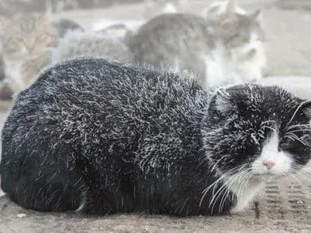 v-kiyevi-sogodni-bude-sukho