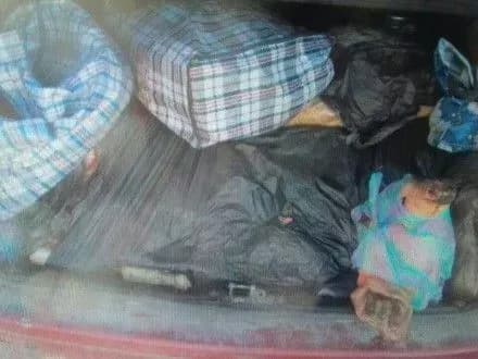 prikordonniki-na-donechchini-zatrimali-vantazh-svinini-i-mebliv-na-ponad-110-tis-grn