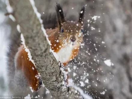 sogodni-v-ukrayini-bude-khmarno-z-proyasnennyami-4