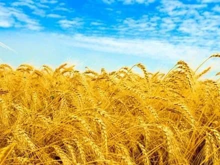 ukrayinskomu-praporu-vipovnilosya-25-rokiv