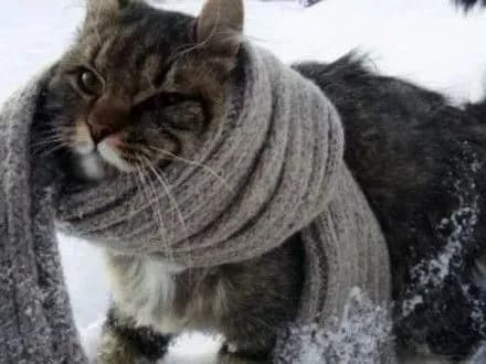 sogodni-v-kiyevi-sinoptiki-opadiv-ne-prognozuyut