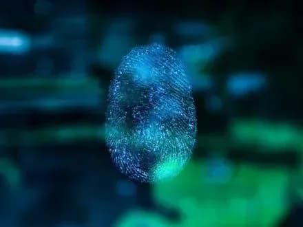 d-tramp-priznachiv-novogo-glavu-prikordonnoyi-sluzhbi-ssha