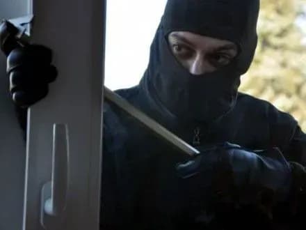 chetvero-zlochintsiv-na-mikolayivschini-vikrali-u-podruzhzhya-bilshe-pivmilyona-griven