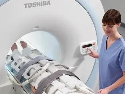 pravookhorontsi-vikrili-skhemu-zakupivli-starogo-medobladnannya-pid-viglyadom-novogo