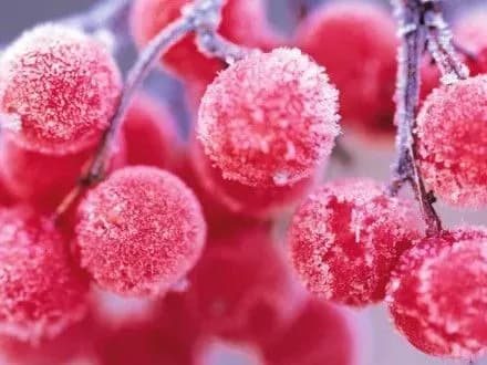 8-lyutogo-v-ukrayini-bude-khmarno-z-proyasnennyami