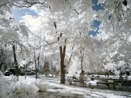 park-pochayna-ta-4-skveri-oblashtuyut-u-kiyevi