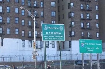 u-nyu-yorku-viyavili-nebezpechnu-infektsiyu-poshirenu-schurami