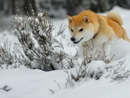 sogodni-u-stolitsi-ochikuyetsya-sukha-pogoda