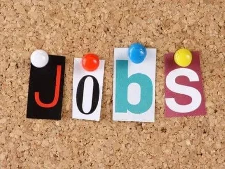 mayzhe-40-pratsedavtsiv-polschi-planuyut-naynyati-ukrayintsiv-doslidzhennnya