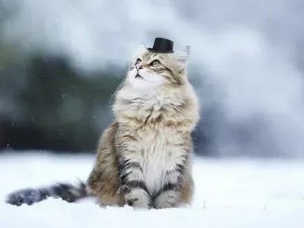 sogodni-v-ukrayini-silni-morozi-vidstuplyat